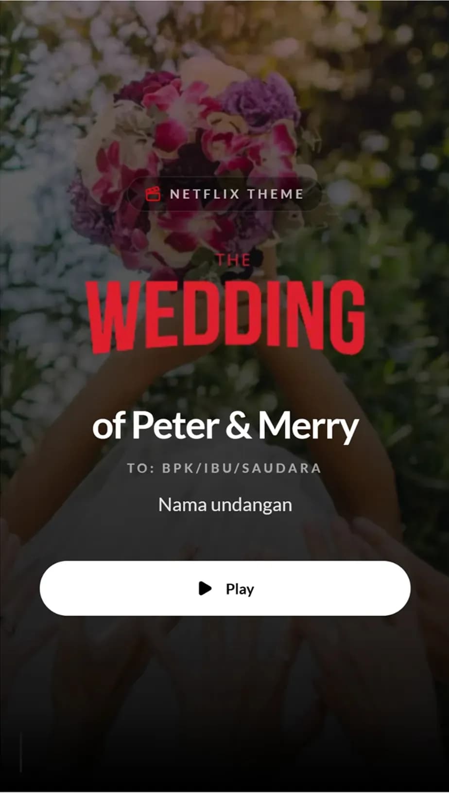 Netflix Theme preview 1